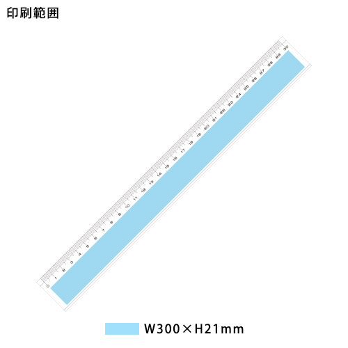 定規30cm 1色印刷 学校pr 卒業記念 オープンキャンパス用のグッズなら学校販促応援隊